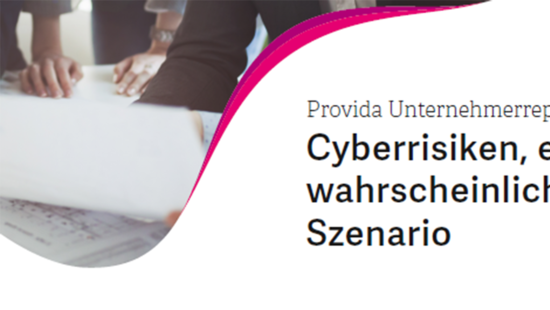 Unternehmerreport Cyberrisiken