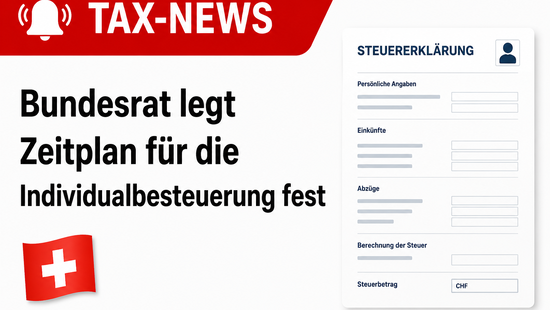Bundesrat Entscheidung Individualbesteuerung