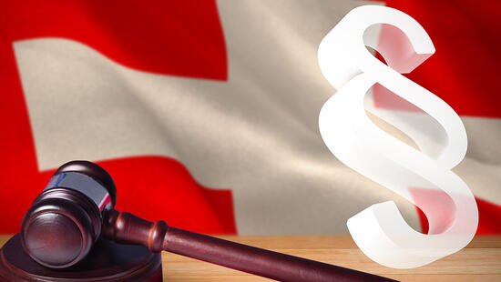 Bundesgericht Vorsteuerabzug Beteiligungsgesellschaften